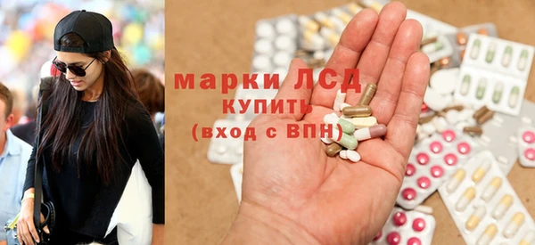 стаф Богданович