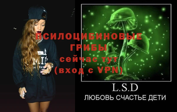 стаф Богданович
