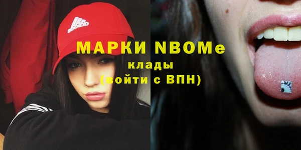 стаф Богданович