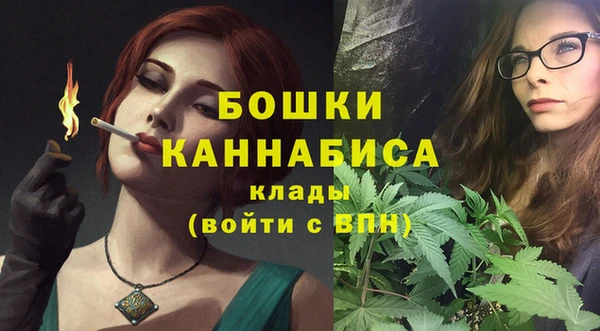 стаф Богданович