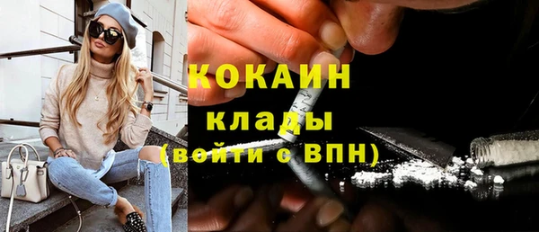 стаф Богданович